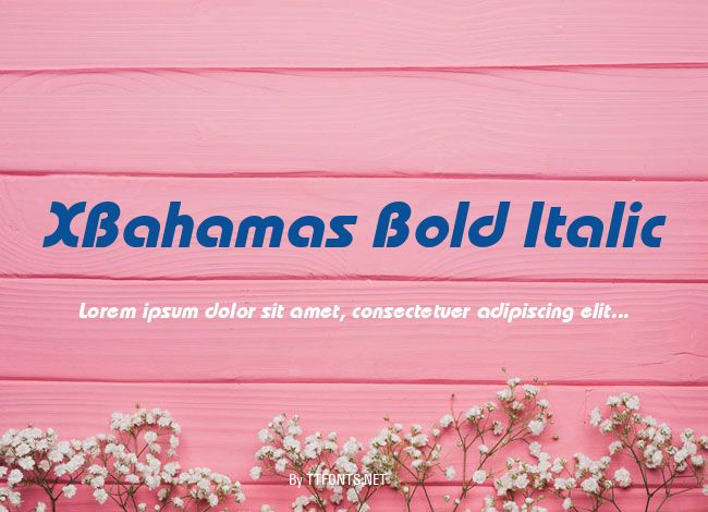 XBahamas Bold Italic example